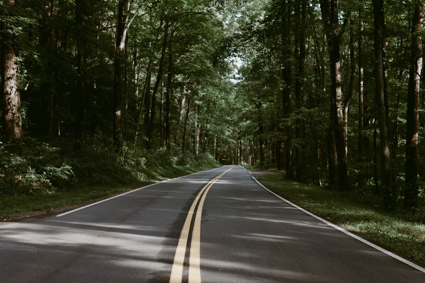 Lorem Ipsum Dolor Sit Amet-1